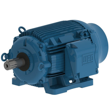 07518ET3PCT365T-W22, WEG, 75HP, Cooling Tower Electric Motor, 1800RPM