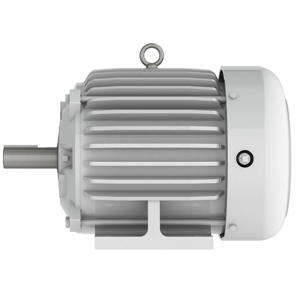 EP00325 Teco-Westinghouse 3HP Cast Iron Electric Motor, 3600 RPM