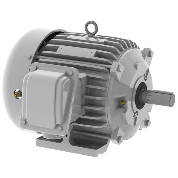EP00325 Teco-Westinghouse 3HP Cast Iron Electric Motor, 3600 RPM