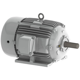 EP0206 Teco-Westinghouse 20 HP Cast Iron Electric Motor, 1200 RPM - 0