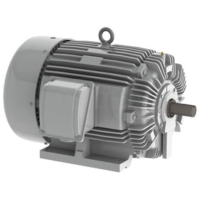 EP0408 Teco-Westinghous 40 HP Cast Iron Electric Motor, 900 RPM - 0