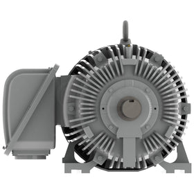 EP1004R Teco-Westinghous 100 HP Cast Iron Electric Motor, 1800 RPM - 0