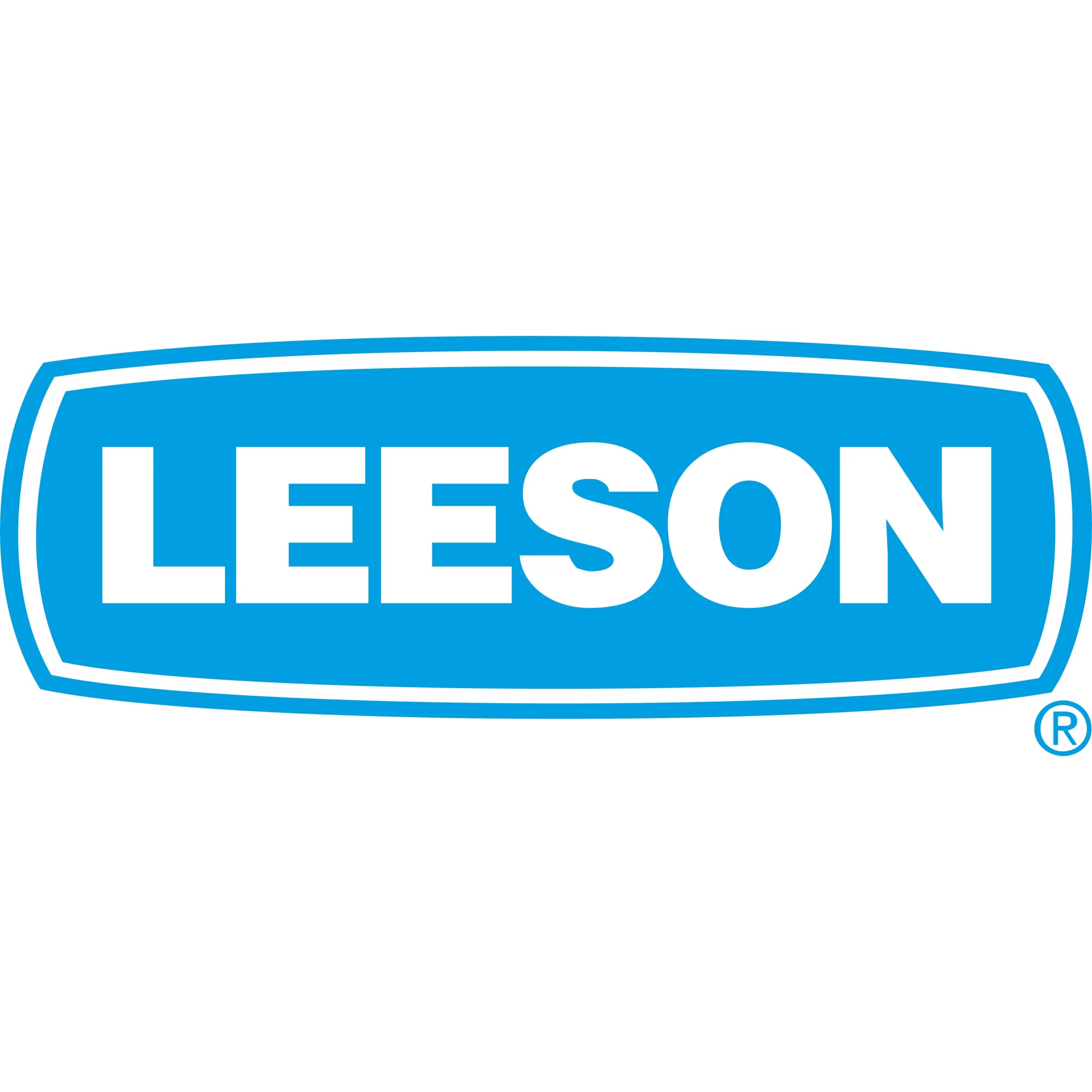 Leeson 3-Phase Electric Motors
