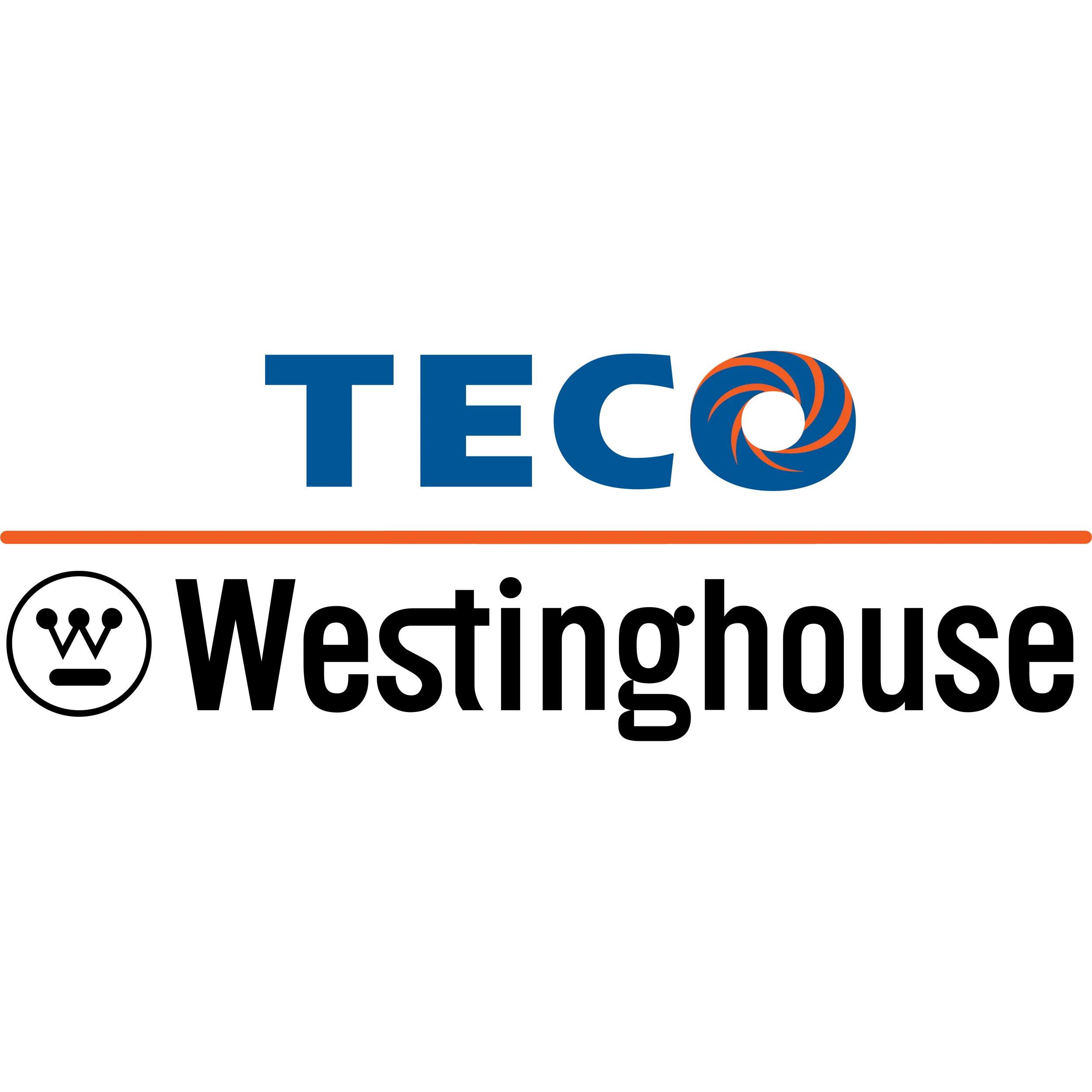 Teco-Westinghouse 3-Phase Electric Motors