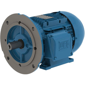 00152ET3WAL100LFF-W22 WEG 2HP/1.5kW IEC Tru-Metric Electric Motor, 1200RPM