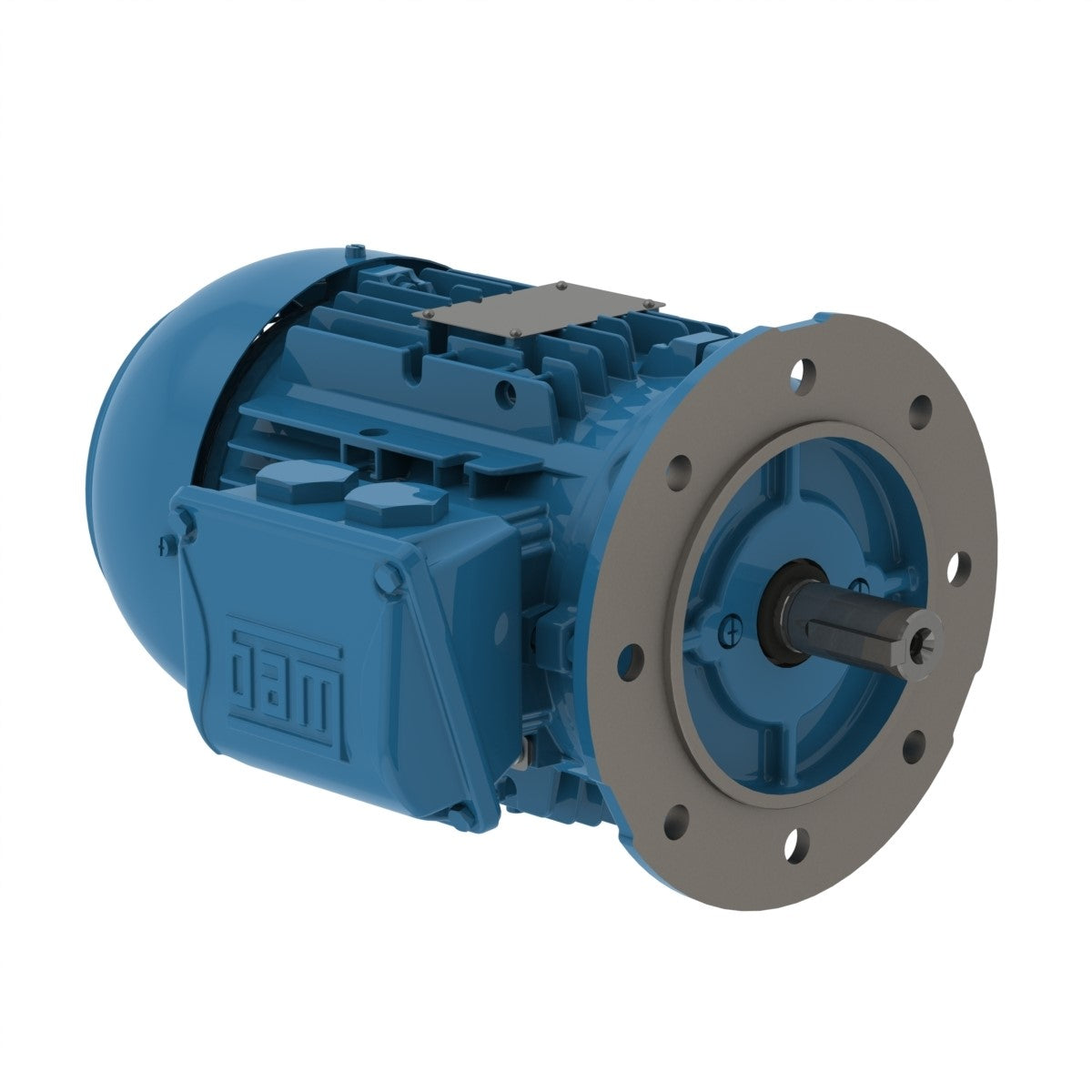 00218ET3WALR100LFF-W WEG 3HP General Purpose Electric Motor, 1800RPM