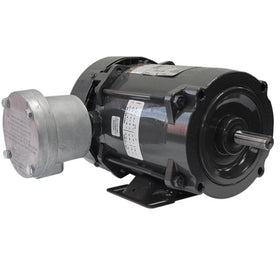 00218XT3E56H WEG 2HP Explosion Proof Electric Motor, 1800RPM