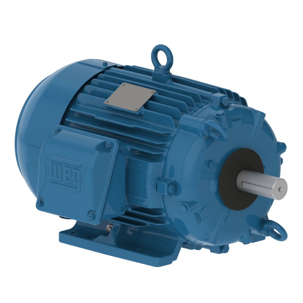00226EP3QCT213VF1-W22 WEG 2/0.5HP Cooling Tower Electric Motor, 1200/600RPM