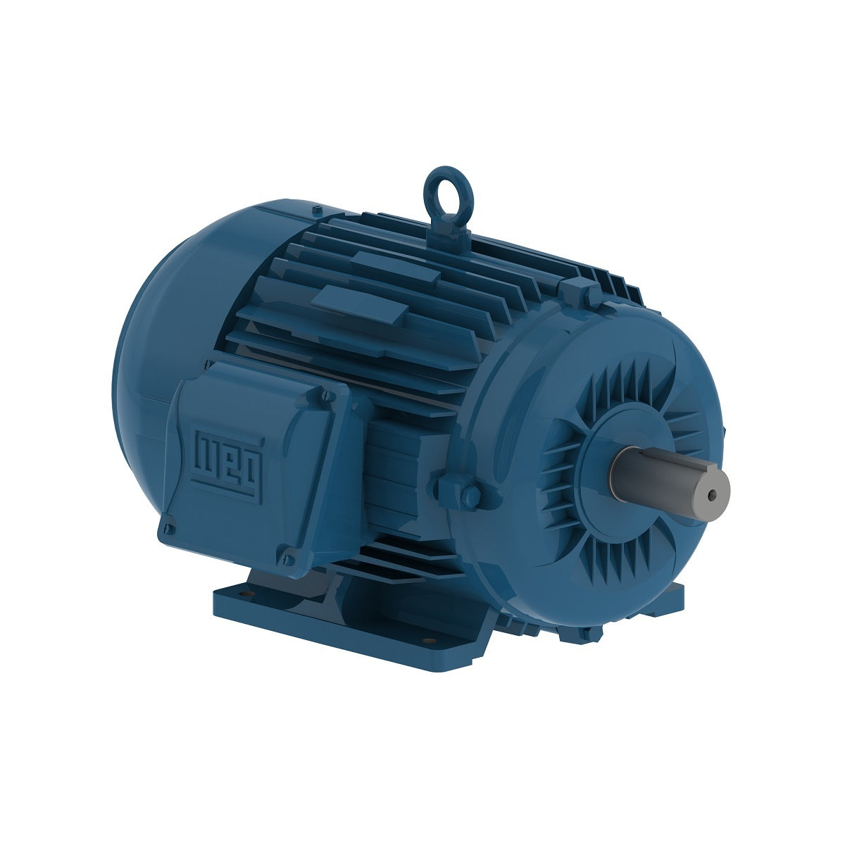 00312ET3E213T-W22S WEG 3HP Severe Duty Electric Motor, 1200RPM
