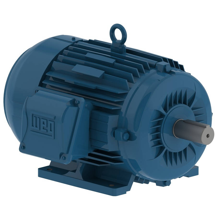 00312ET3E213T-W22 WEG 3HP Severe Duty Electric Motor, 1200RPM