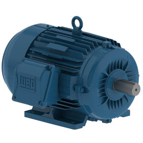 00318ET3E182T-W22G WEG 3HP Severe Duty Electric Motor, 1800RPM