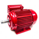 01018ES1DFD215T-W22 WEG 10HP Farm Duty Electric Motor, 1740RPM-3
