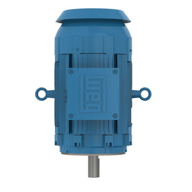 01018XT3ER215TC WEG 10HP Explosion Proof Electric Motor, 1800RPM