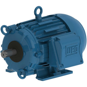 01089EP3HCT215V-W22 WEG 2.5/10HP Cooling Tower Electric Motor, 900/1800RPM