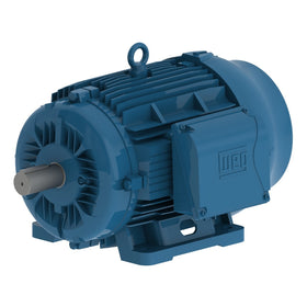 01836ET3Y160L-W22 WEG 25HP/18.5kW IEC TRU-Metric Electric Motor, 3600RPM