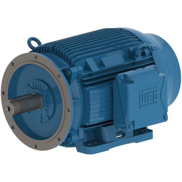 02218ET3Y180LFF-W22 WEG 30HP / 22kW IEC Tru-Metric Electric Motor, 1800RPM