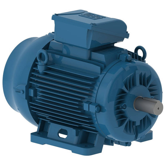 02518ET3E284TF3-W22 WEG 25HP Severe Duty Electric Motor, 1800RPM