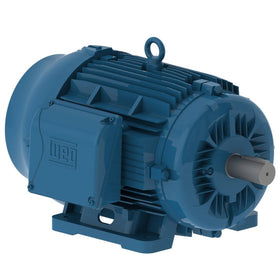 02536ET3E284TS-W22 WEG 25HP Severe Duty Electric Motor, 3600RPM