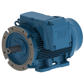 03718ET3Y225S/MFF-W22 WEG 50HP / 37kW IEC TRU-Metric Electric Motor, 1800RPM