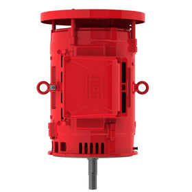 04036OP3VFP286JMV-W4 WEG 40HP JM Close-Coupled Pump Electric Motor, 3600RPM