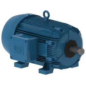 05018XT3E326T WEG 50HP Explosion Proof Electric Motor, 1800RPM
