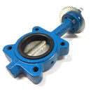 0525588 Watts Cast Iron Lug Type Butterfly Valve-4