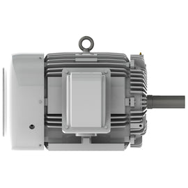 EP0604 Teco-Westinghouse 60 HP Cast Iron Electric Motor, 1800 RPM