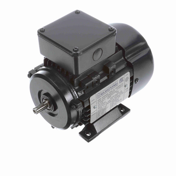 R303 Marathon 0.33HP/0.25kW IEC Metric Globetrotter Electric Motor, 3600RPM