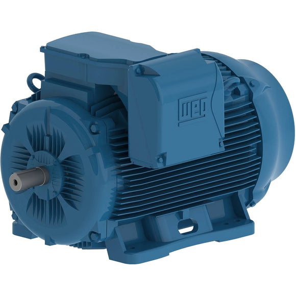 07509ET3Y315S/M-W22 WEG 100HP/75kW IEC TRU-Metric Electric Motor, 900RPM