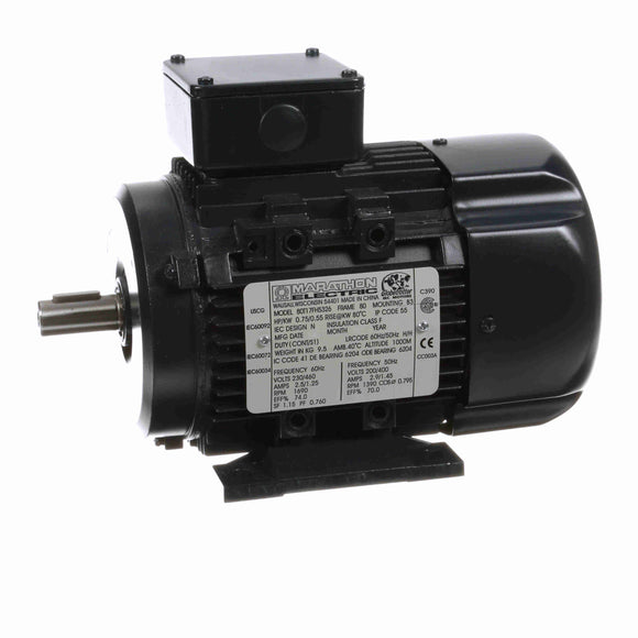 R310 Marathon 0.75HP/0.56kW IEC Metric Globetrotter Electric Motor, 1800RPM