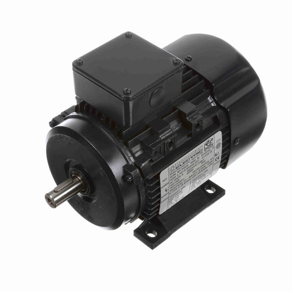 R310 Marathon 0.75HP/0.56kW IEC Metric Globetrotter Electric Motor, 1800RPM