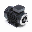 R379A Marathon 3HP/2.2kW IEC Metric Globetrotter Electric Motor, 3600RPM-1