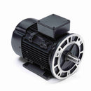 R399A Marathon 3HP/2.2kW IEC Metric Globetrotter Electric Motor, 3600RPM-1