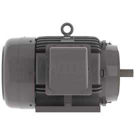NP1002C Teco-Westinghouse 100HP Cast Iron Electric Motor, 3600 RPM