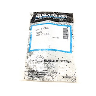 10-17344 Quicksilver Screw - 0