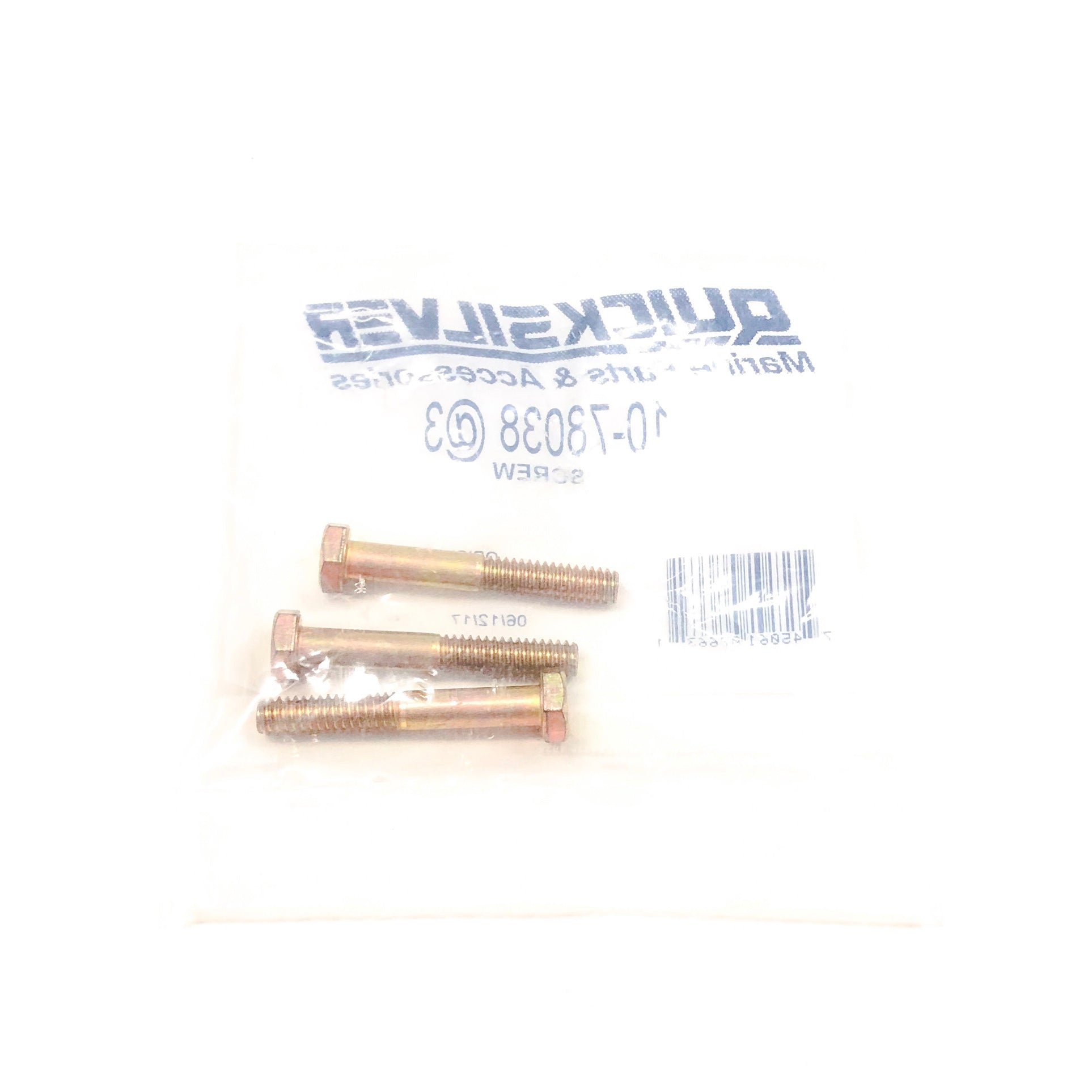 10-78038 Quicksilver Screw