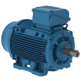 10018ET3E405TF3-W22 WEG 100HP Severe Duty Electric Motor, 1800RPM