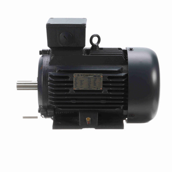R317 Marathon 1.5HP/1.1kW IEC Metric Globetrotter Electric Motor, 1200RPM