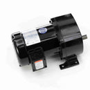 107027.00 Leeson 1/3HP Parallel Shaft AC Gearmotor, 41RPM-3
