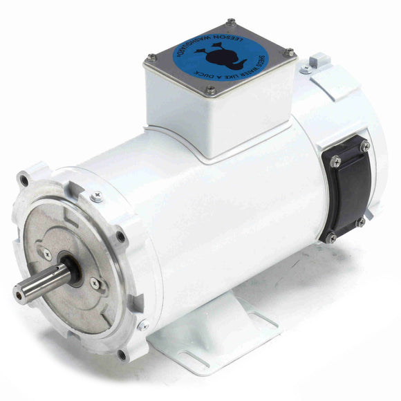 108226.00 Leeson 1/2HP Washguard DC Electric Motor, 1750 RPM