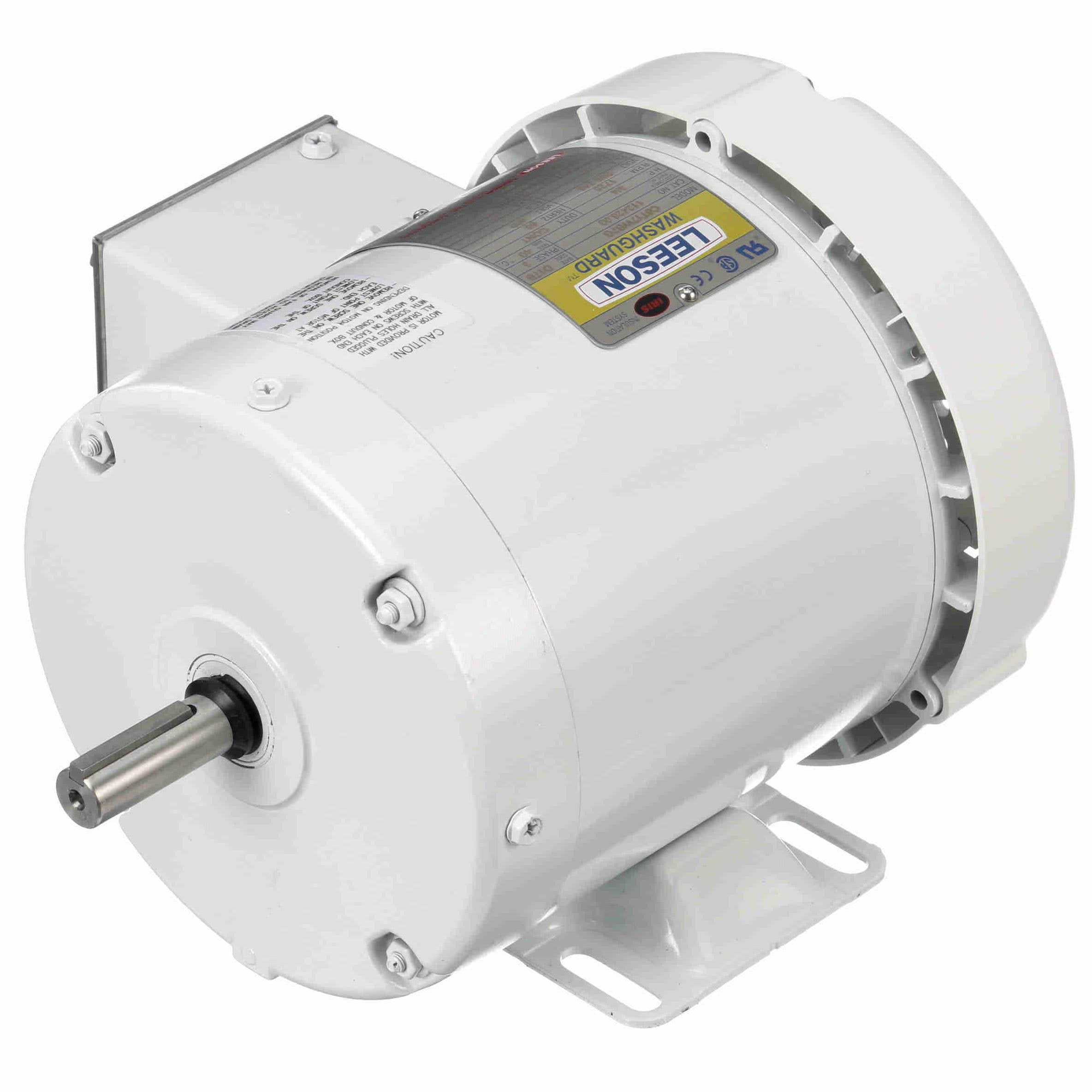 Leeson Washguard Electric Motor, 3/4 HP, 1800 RPM