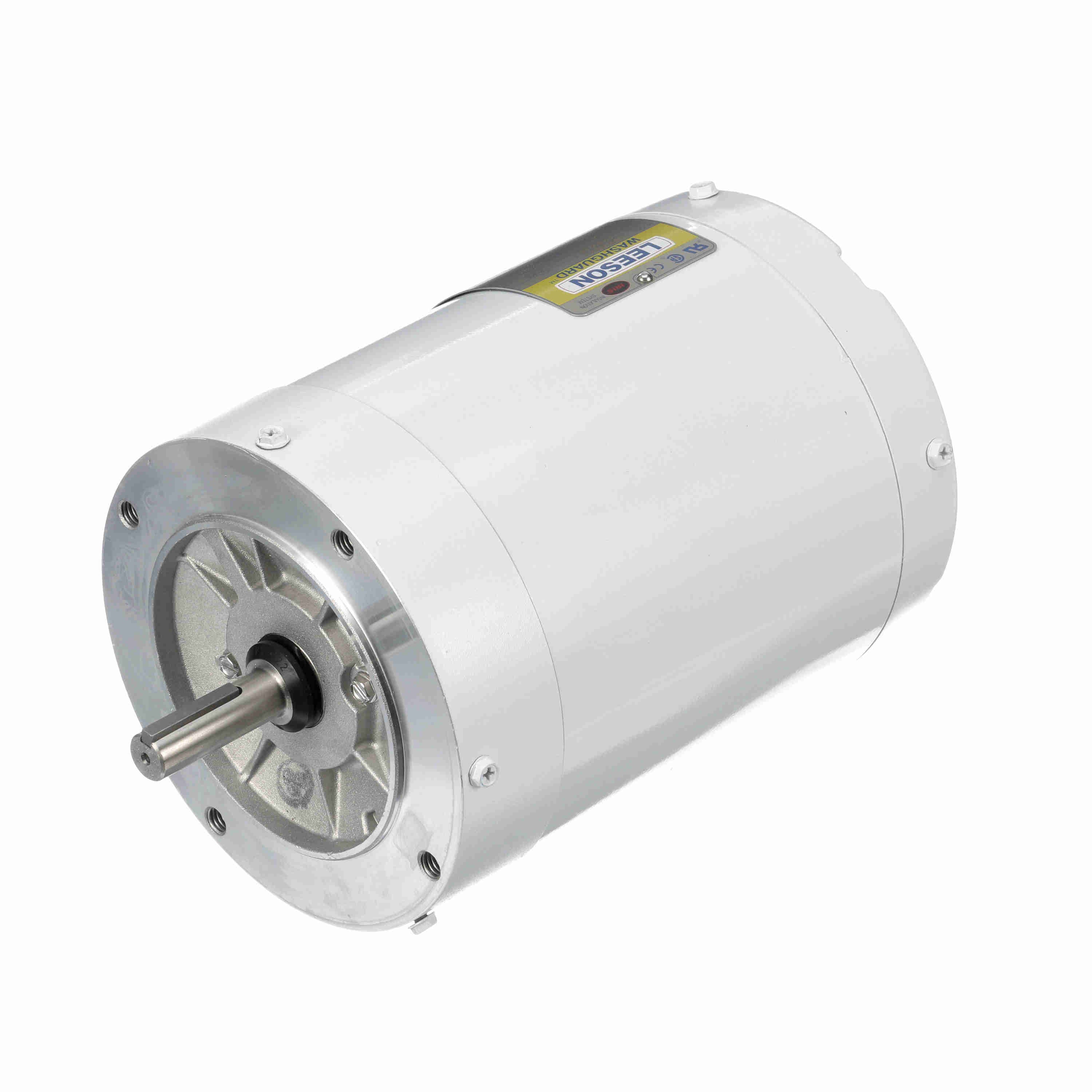 Leeson Washguard Electric Motor, 3/4 HP, 3600 RPM