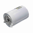 113023.00 Leeson Washguard Motor, 1 HP, 3600 RPM-2