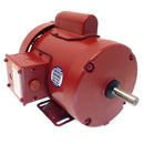 113256.00 1/3HP Leeson Farm Duty Electric Motor-2