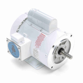113582.00 Leeson Washguard Motor, 3/4HP, 1800RPM - 0