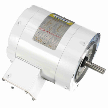 113649.00 Leeson Washguard Motor, 1/4 HP, 1800 RPM - 0