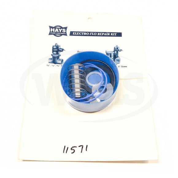 11571 Hays Fluid Controls Electro-Flo Repair Kit Series 2110