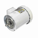 116644.00 Leeson Washguard Motor, 1/2 HP, 1800 RPM-3