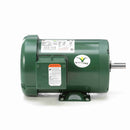 117760.00 1HP Leeson Farm Duty Electric Motor-2