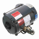 117859.00 Leeson 1/3HP Explosion Proof Electric Motor, 1800RPM-3